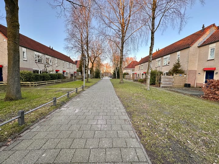 Foto 34 van Forel 20