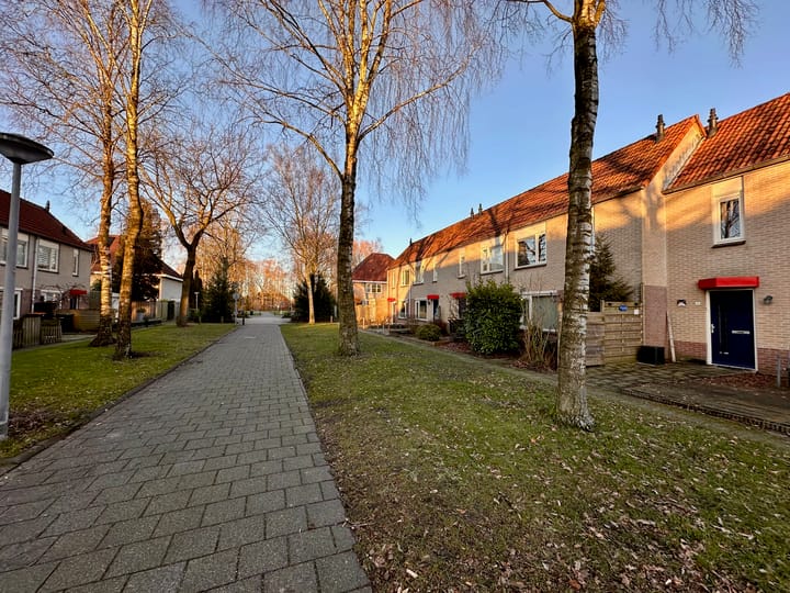 Foto 35 van Forel 20