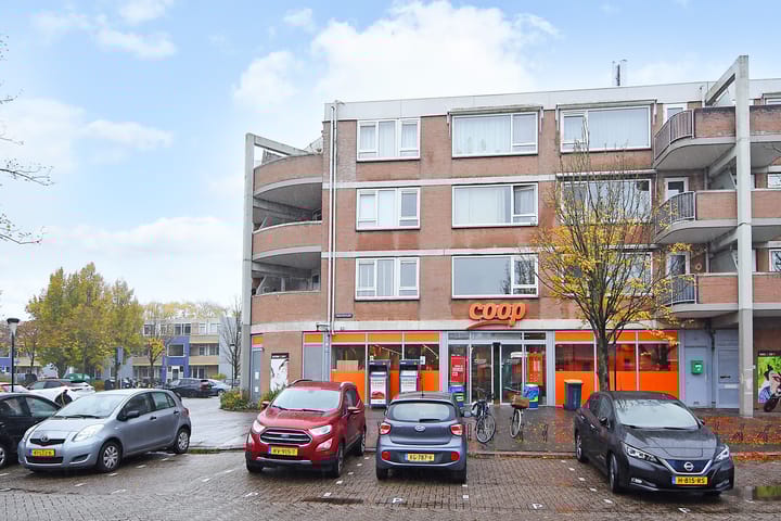 Foto 1 van Driewegplein 21