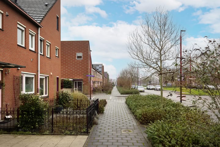 Foto 47 van Herman Heijermanshove 33