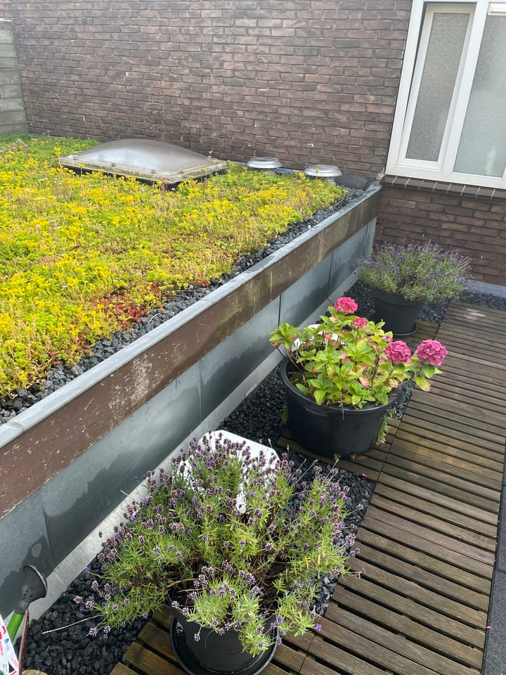 Foto 24 van Oost Indiëstraat 64