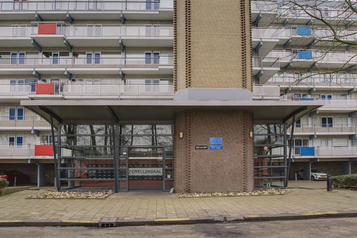 Foto 2 van Forellendaal 313