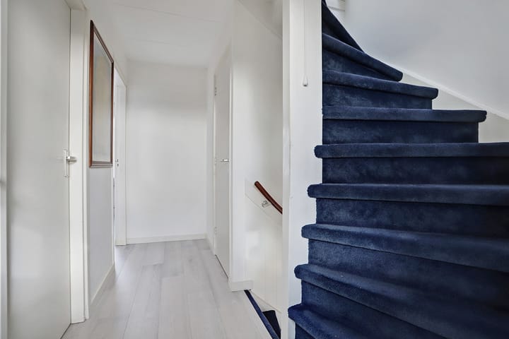 Foto 20 van Groene Zoom 37