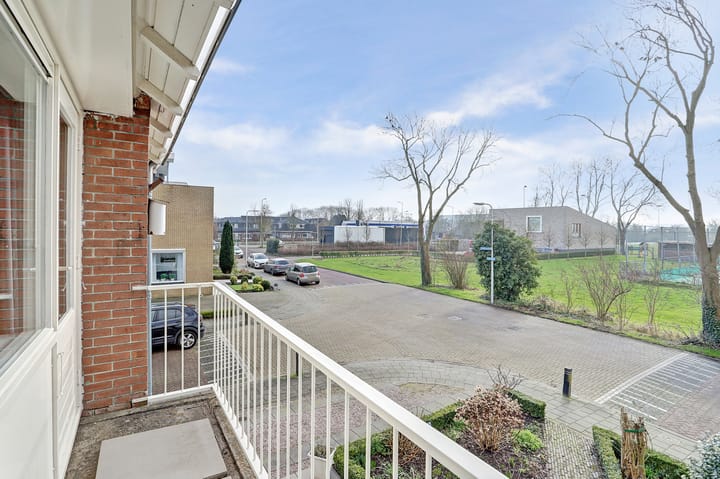 Foto 32 van Groene Zoom 37