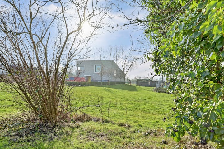 Foto 47 van Groene Zoom 37