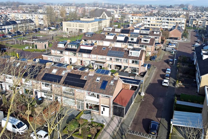 Foto 50 van Groene Zoom 37