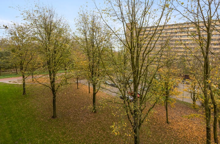 Foto 22 van Langswater 179