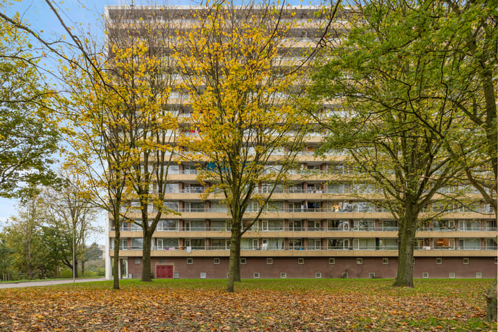 Foto 25 van Langswater 179