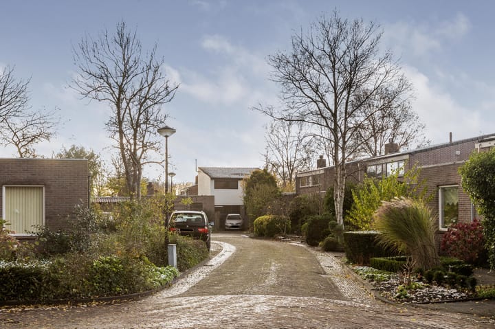 Foto 62 van Larixplantsoen 32