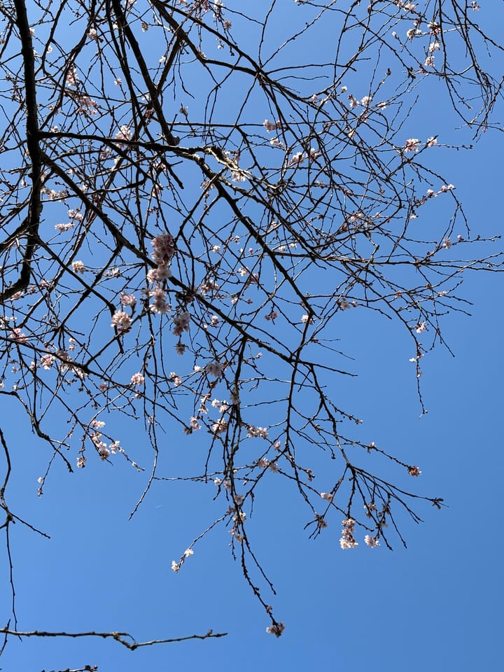 Photo 25 of Rijksstraatweg 738