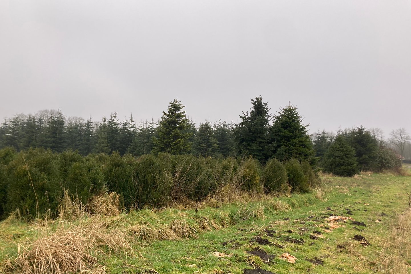 Bekijk foto 3 van Oude Dijk