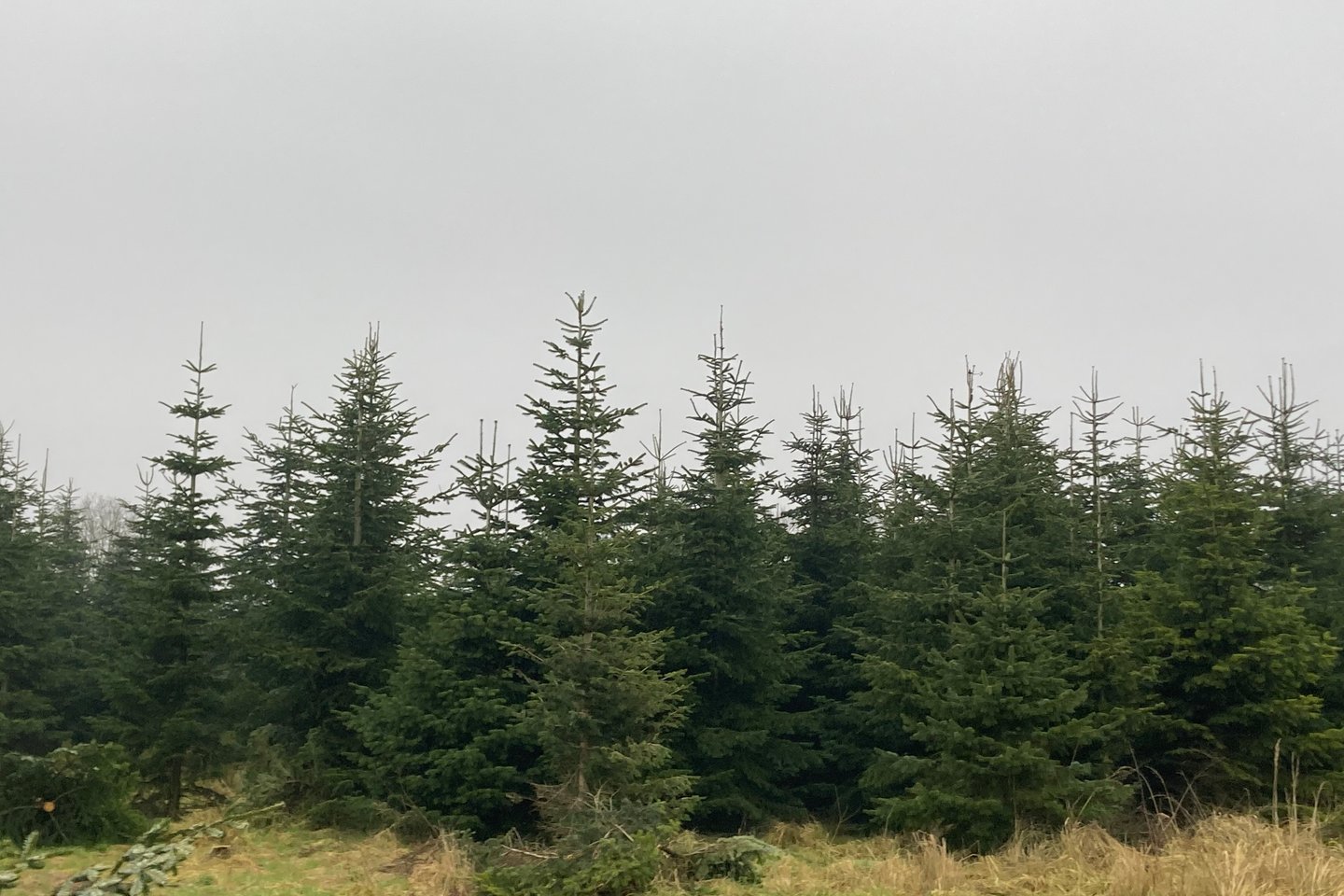 Bekijk foto 4 van Oude Dijk