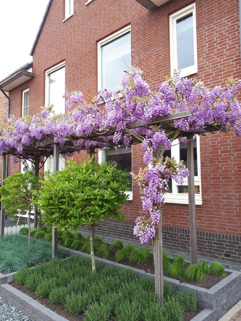 Foto 2 van Louis Paul Boonstraat 75