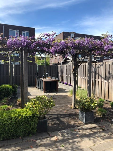 Foto 33 van Louis Paul Boonstraat 75