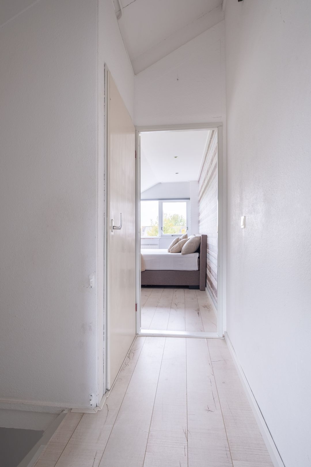 Foto 41 van Zenegroen 94