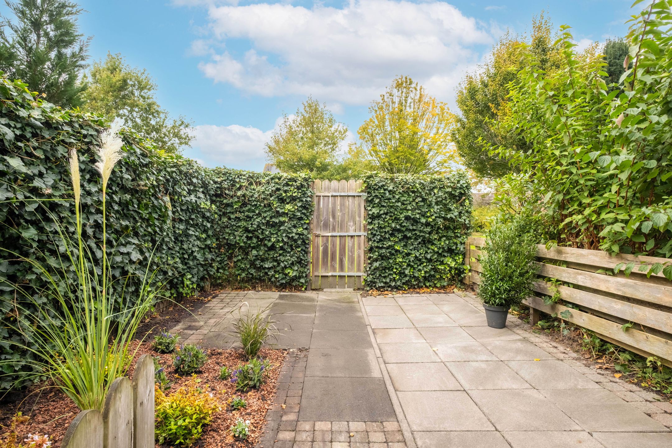 Foto 48 van Zenegroen 94