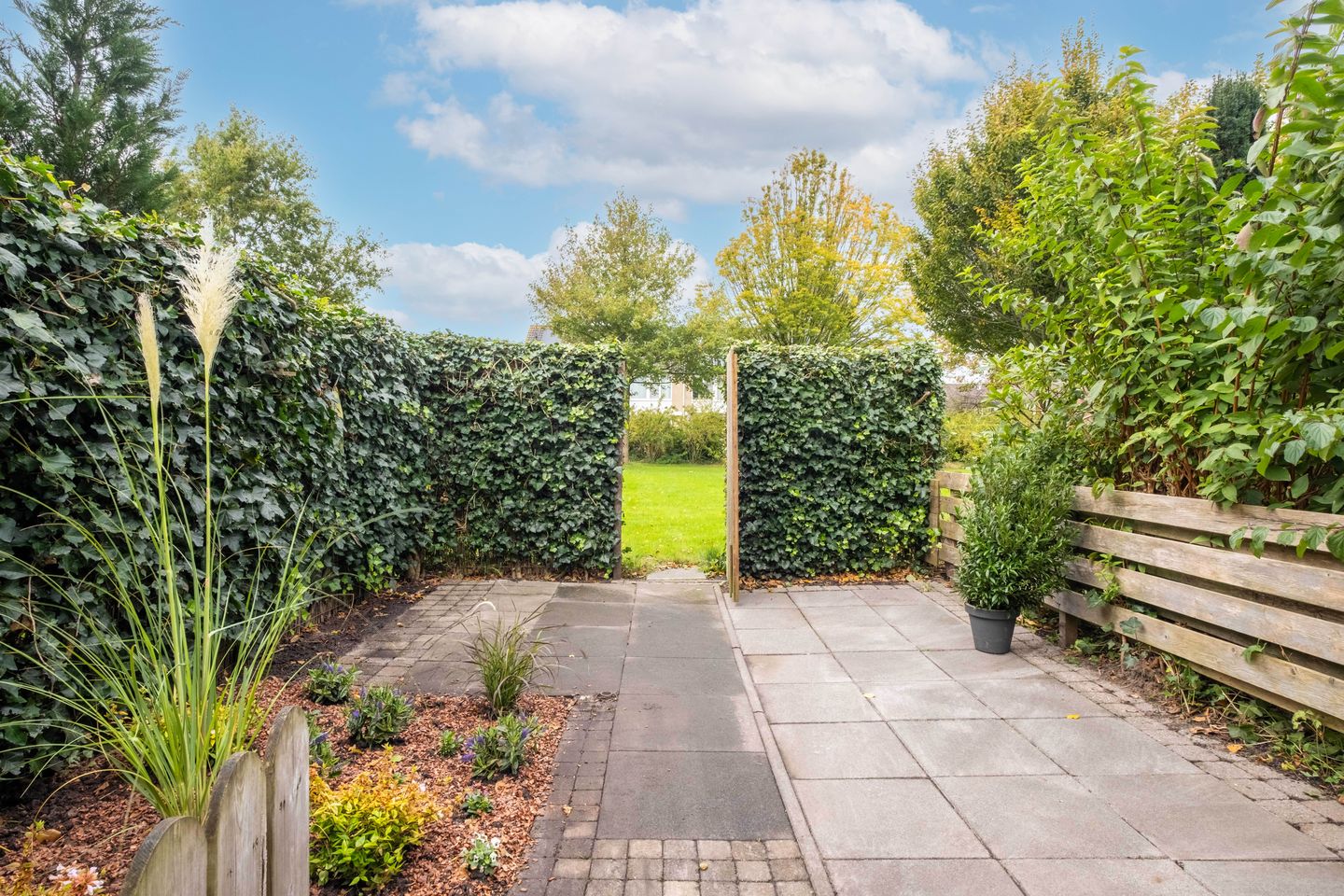 Foto 49 van Zenegroen 94