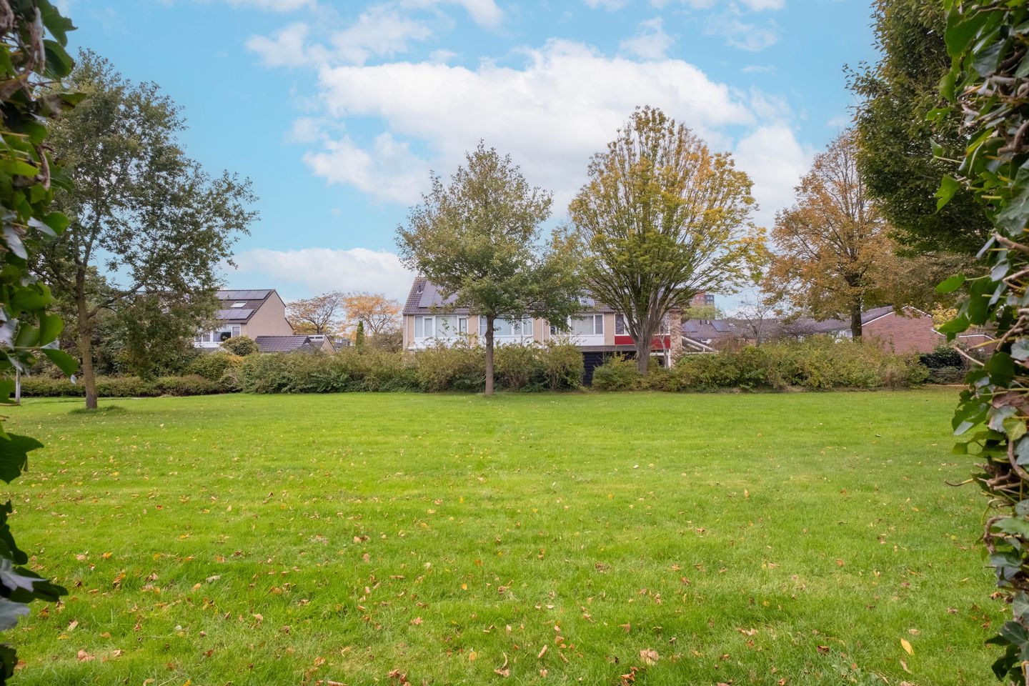 Foto 50 van Zenegroen 94