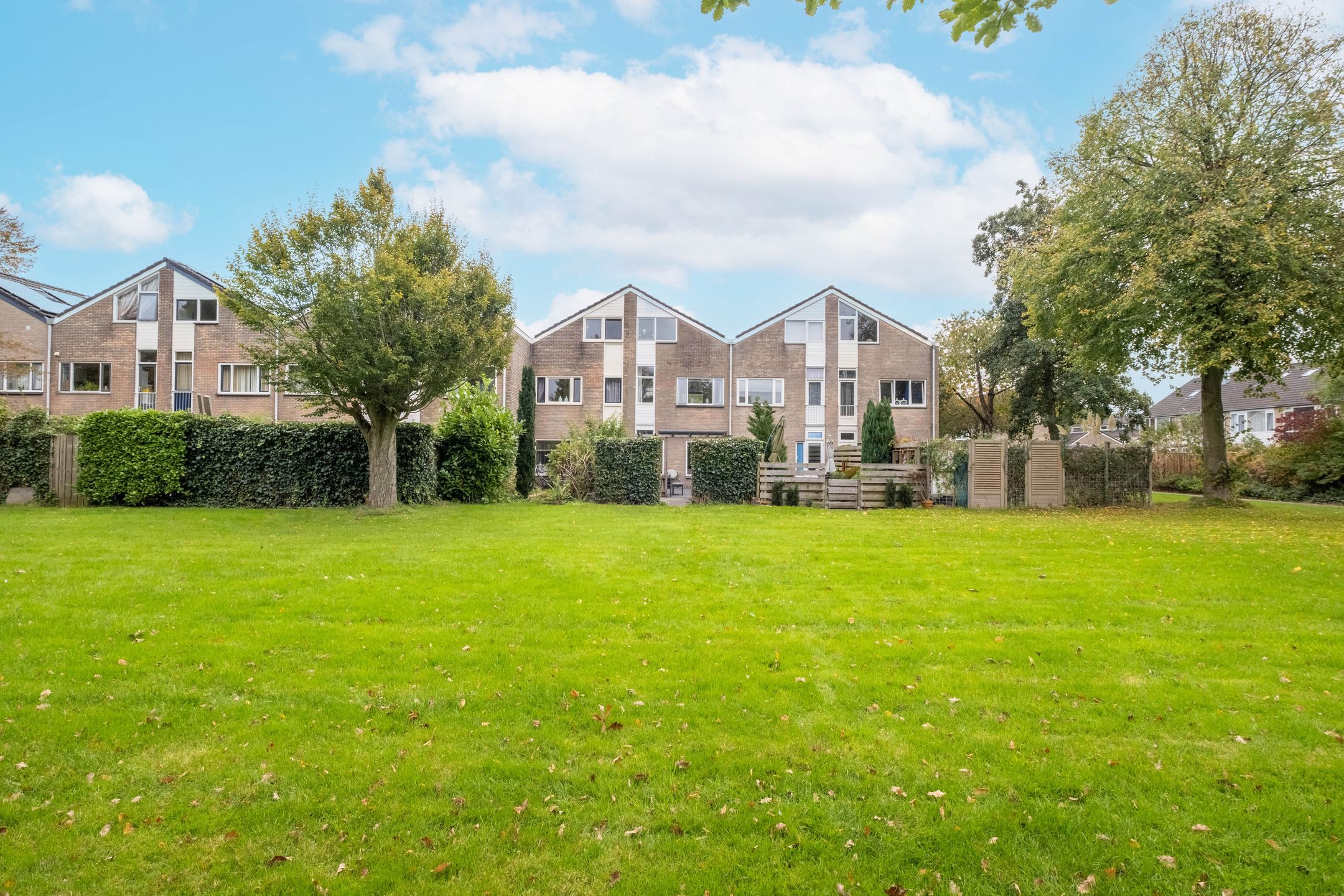 Foto 51 van Zenegroen 94