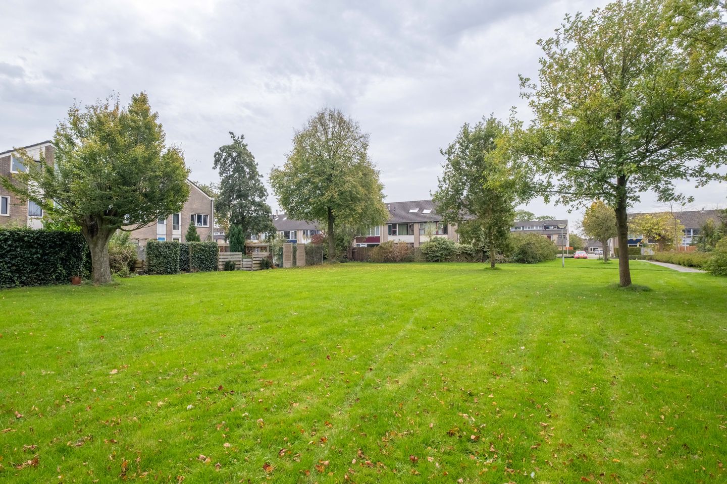 Foto 55 van Zenegroen 94