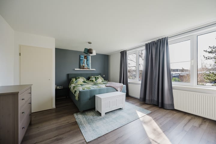 Foto 4 van Kikkerveen 384