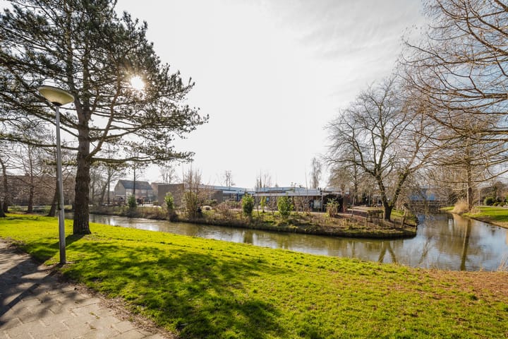 Foto 8 van Kikkerveen 384