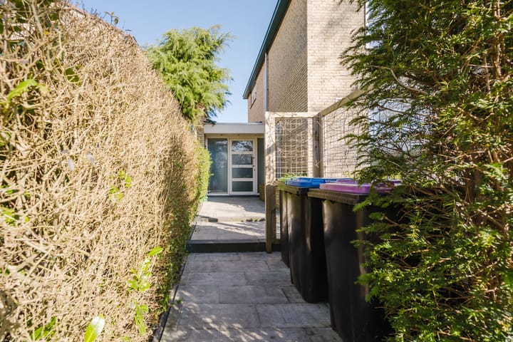 Foto 9 van Kikkerveen 384