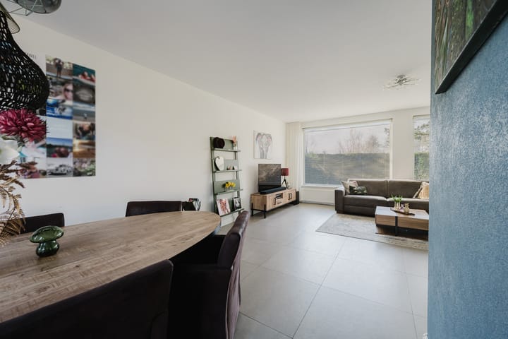 Foto 19 van Kikkerveen 384