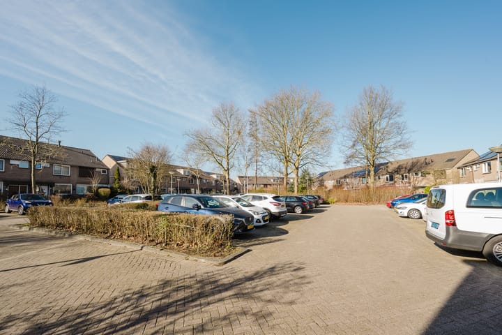 Foto 50 van Kikkerveen 384