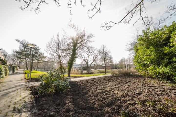 Foto 53 van Kikkerveen 384