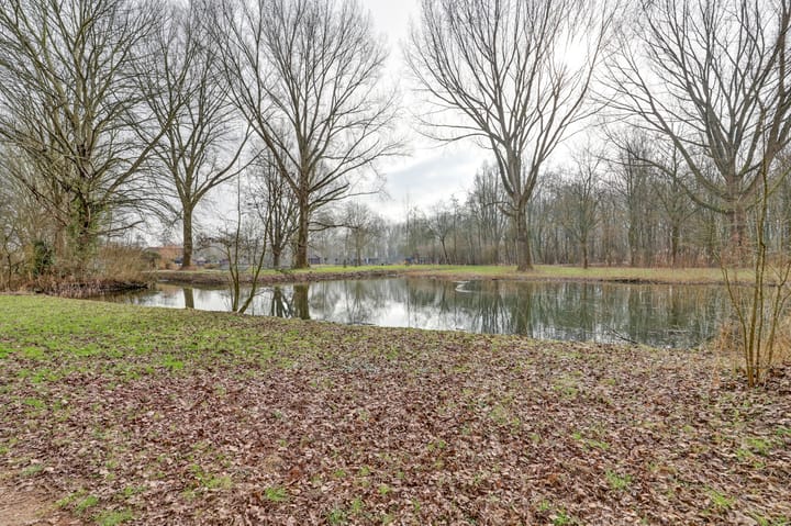 Foto 40 van Kloosplantsoen 345