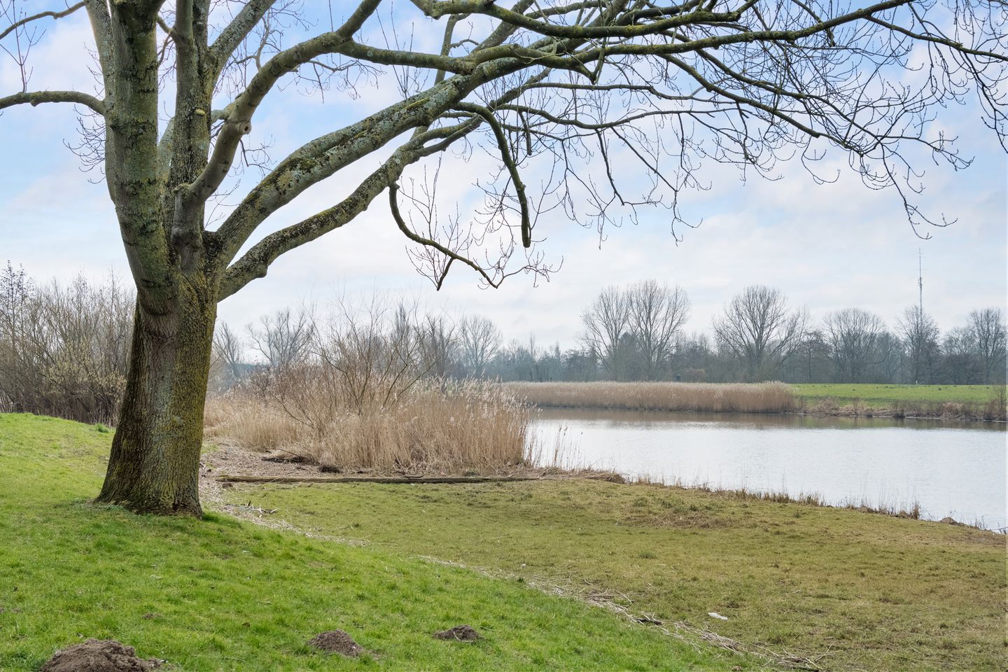 Photo 19 of Beekmanstraat 125