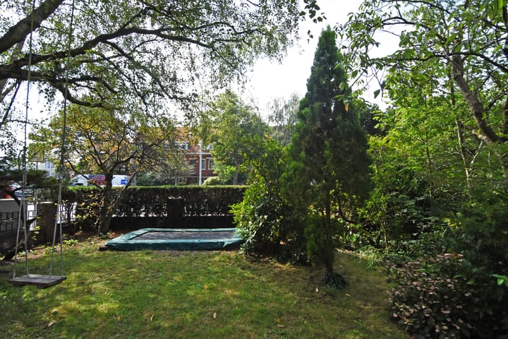 Foto 13 van Laan van Nieuw Oosteinde 17