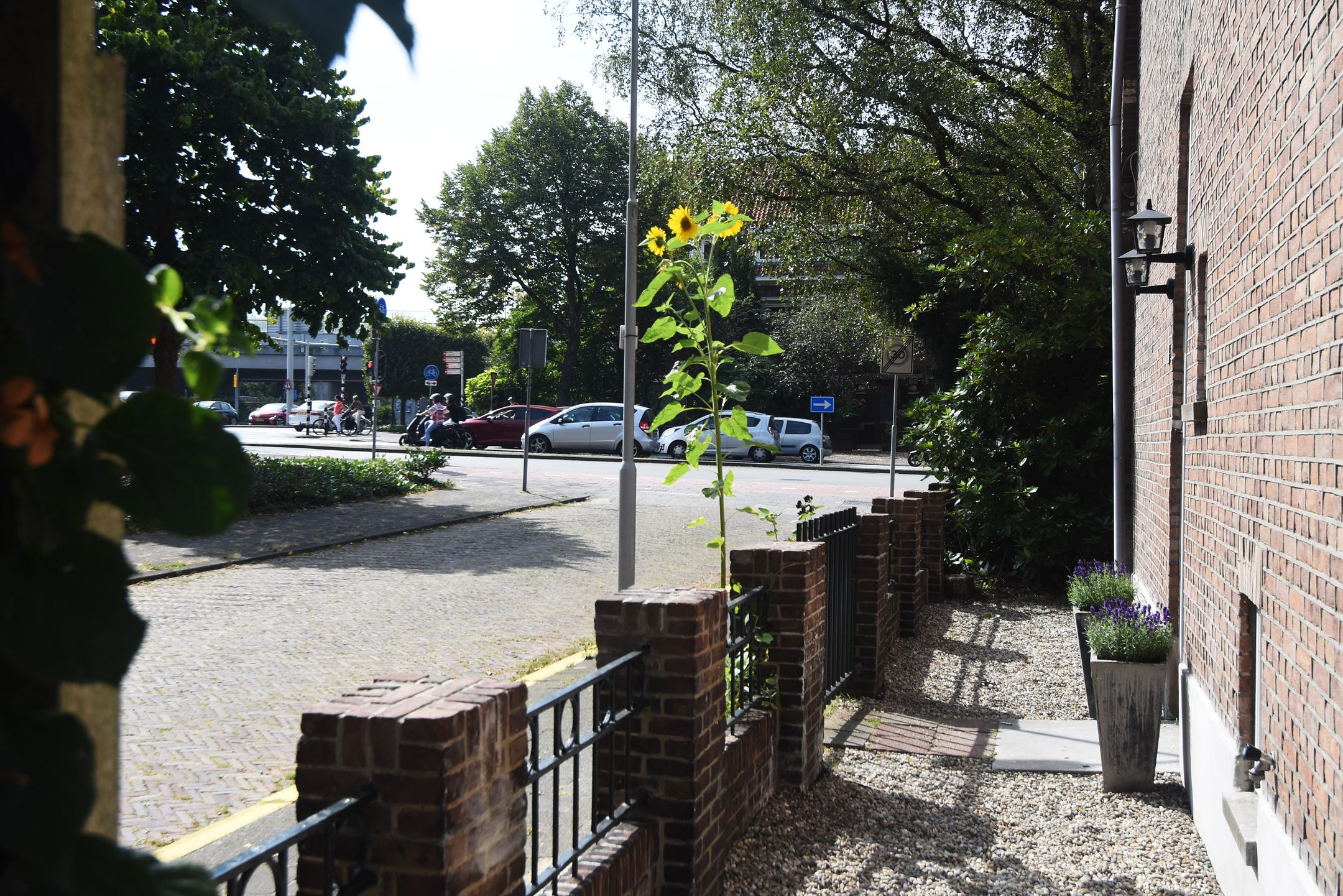 Foto 66 van Laan van Nieuw Oosteinde 17