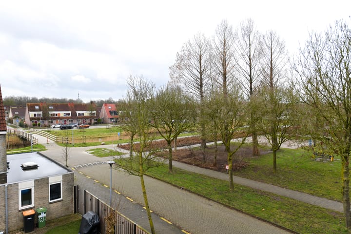 Foto 22 van Boeier 24