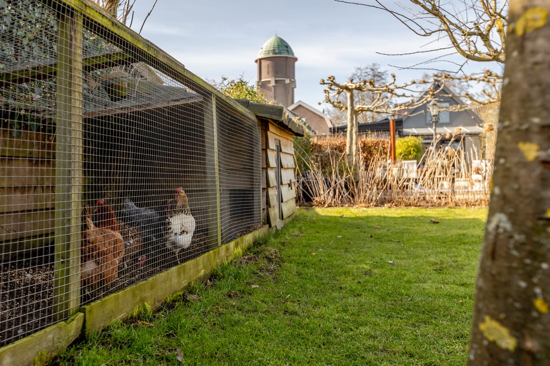 Foto 38 van Dijklaan 88