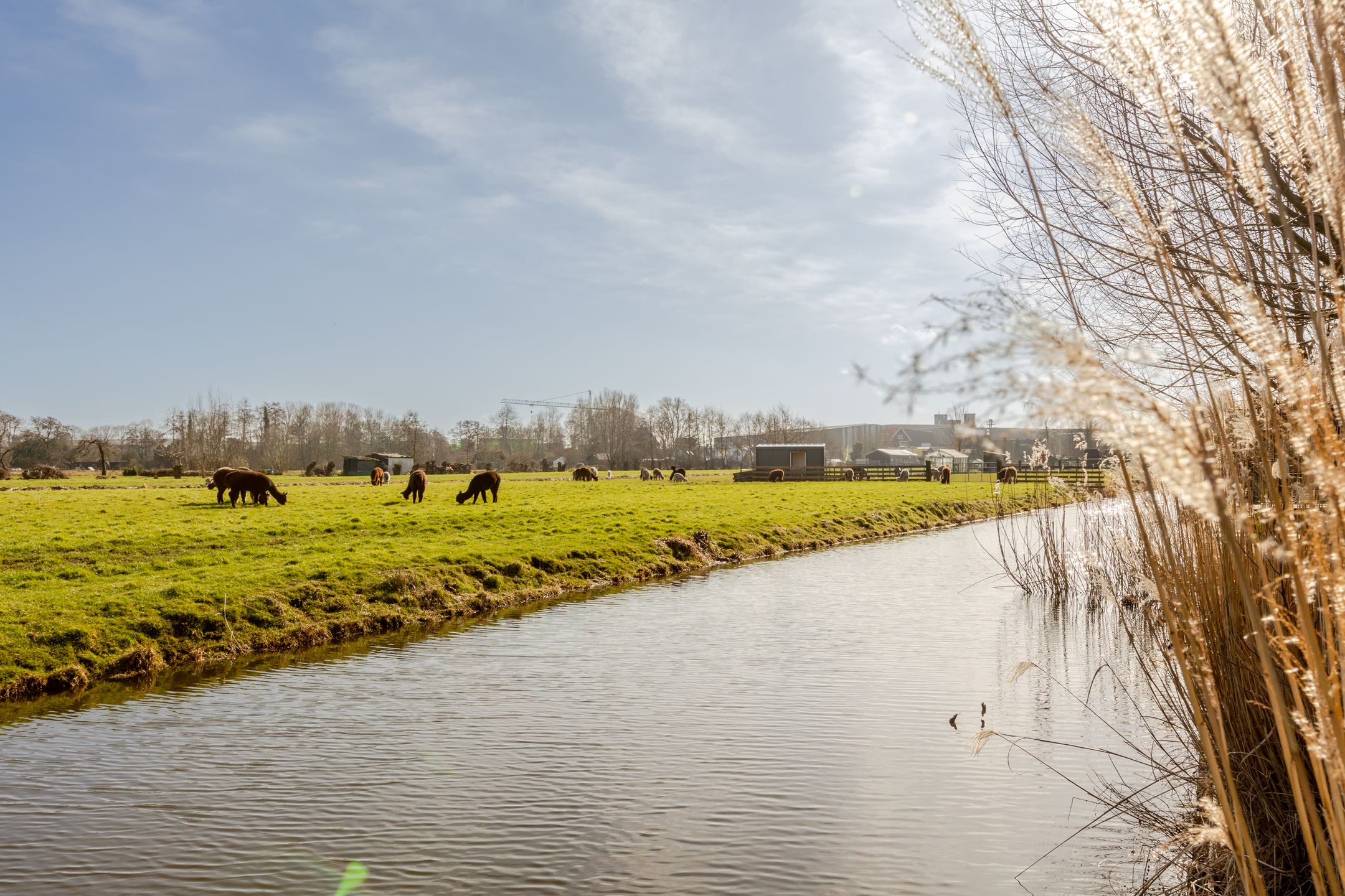 Foto 42 van Dijklaan 88