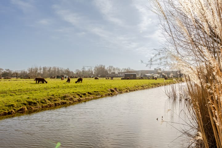 Foto 42 van Dijklaan 88