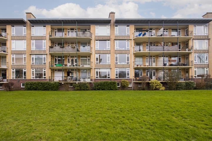 Photo 54 of Tolsteegplantsoen 37