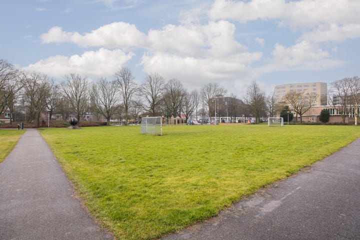 Photo 56 of Tolsteegplantsoen 37
