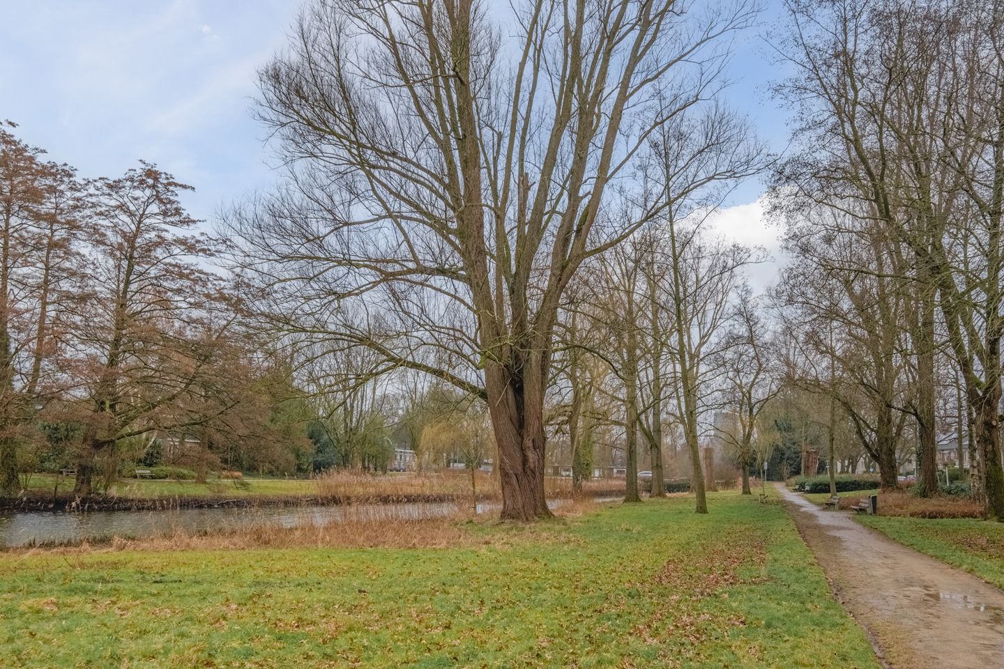 Foto 35 van Jasonstraat 28