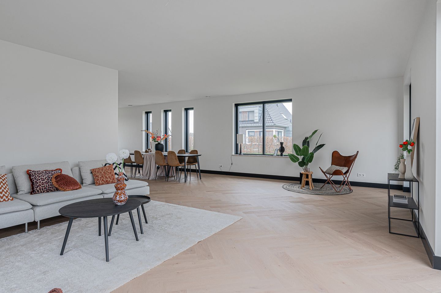 Foto 20 van Anholt 58