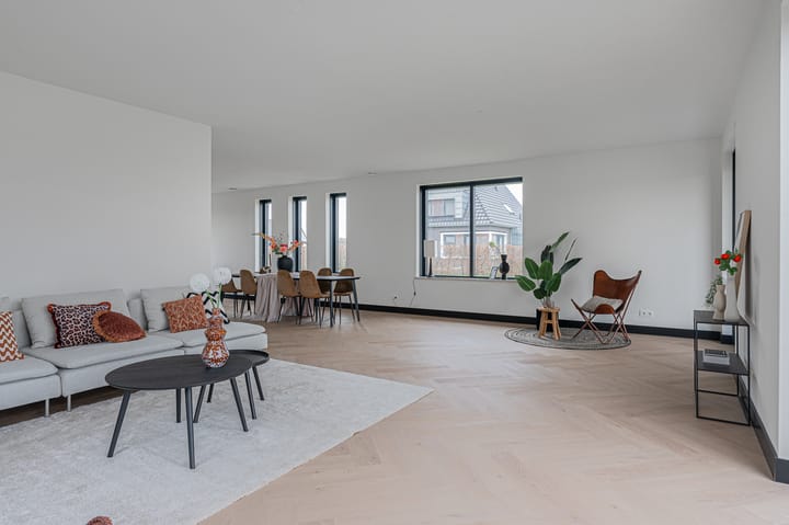 Foto 20 van Anholt 58