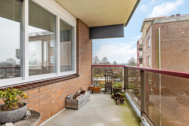 Foto 3 van Smeetsmastins 36