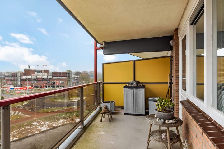 Foto 4 van Smeetsmastins 36