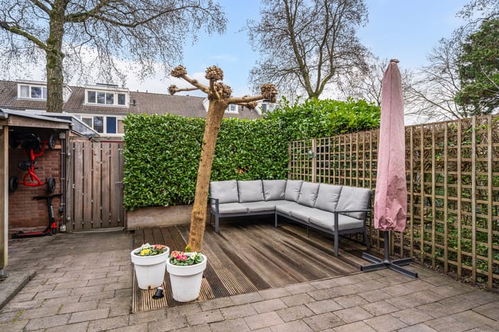 Foto 24 van Deimos 3