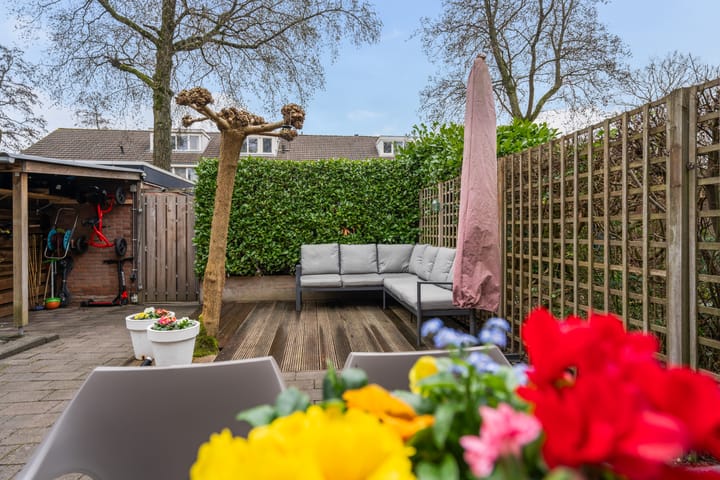 Foto 25 van Deimos 3