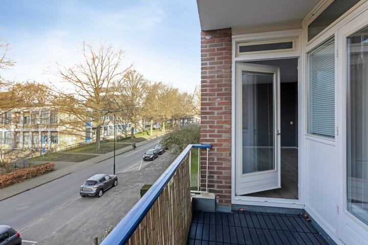 Foto 3 van Henri Dunantlaan 271