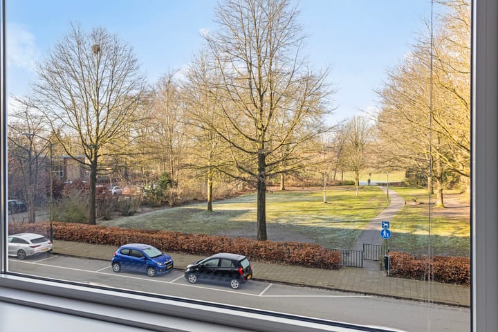 Foto 8 van Henri Dunantlaan 271