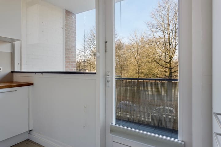 Foto 11 van Henri Dunantlaan 271